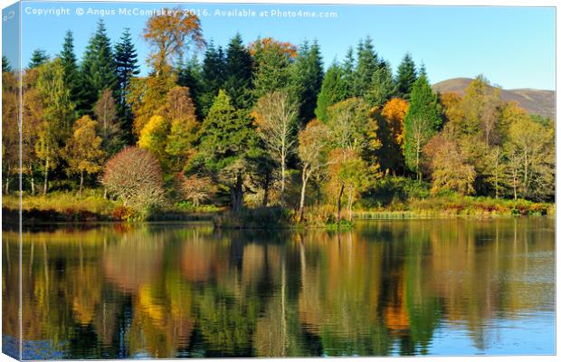 Autumn colours Penicuik Pond  Canvas Print by Angus McComiskey