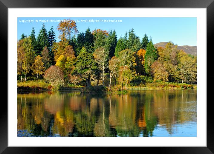 Autumn colours Penicuik Pond  Framed Mounted Print by Angus McComiskey