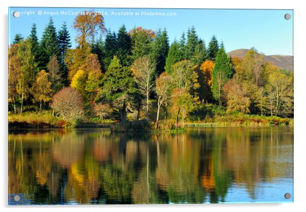 Autumn colours Penicuik Pond  Acrylic by Angus McComiskey