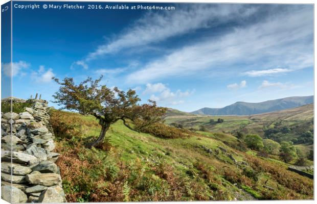 Lone tree in the Lake District Canvas Print by Mary Fletcher