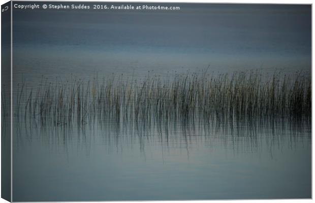 Sedge and long grass in lakeside shallows  Canvas Print by Stephen Suddes