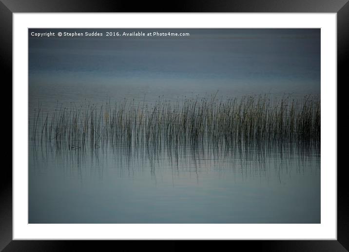 Sedge and long grass in lakeside shallows  Framed Mounted Print by Stephen Suddes