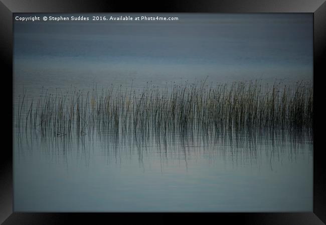 Sedge and long grass in lakeside shallows  Framed Print by Stephen Suddes