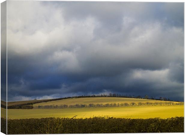 Fields and stormy weather Canvas Print by David French