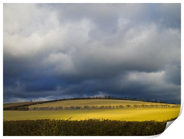 Fields and stormy weather Print by David French