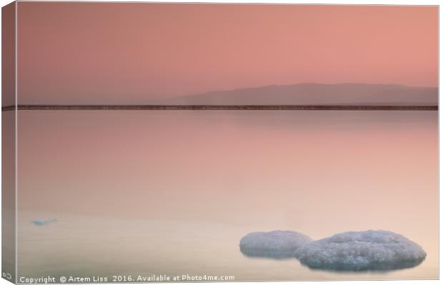 Dead Sea Salt Canvas Print by Artem Liss