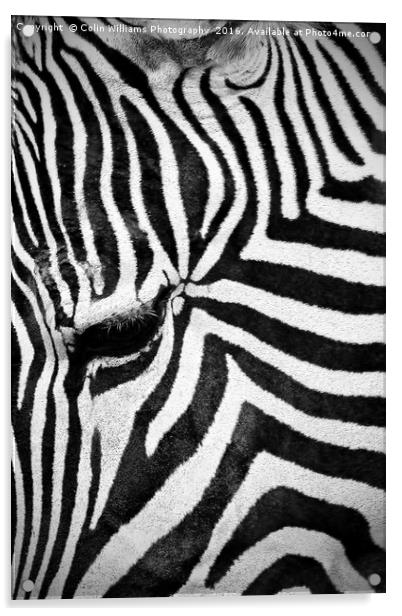 The Eye of the Zebra Acrylic by Colin Williams Photography