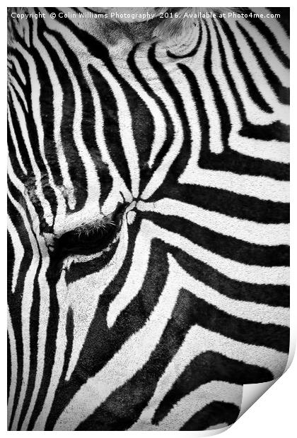 The Eye of the Zebra Print by Colin Williams Photography