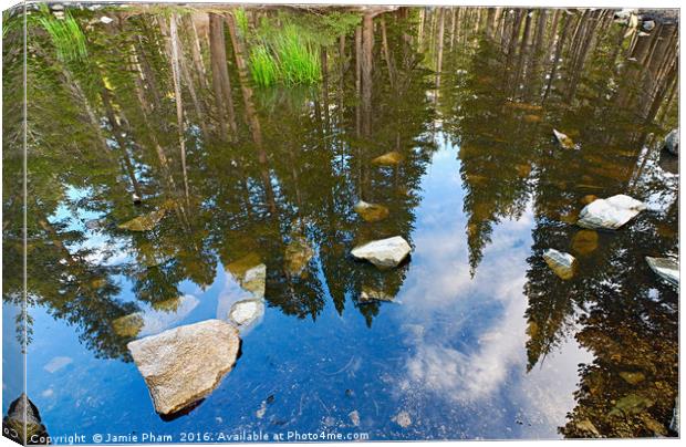 Reflection of a forest in a pond. Canvas Print by Jamie Pham