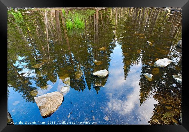 Reflection of a forest in a pond. Framed Print by Jamie Pham