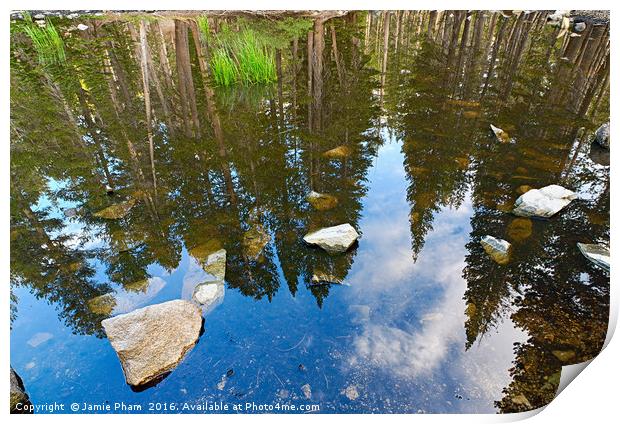 Reflection of a forest in a pond. Print by Jamie Pham