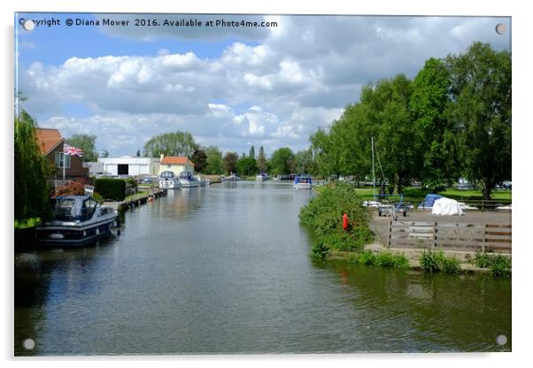Beccles Suffolk   Acrylic by Diana Mower