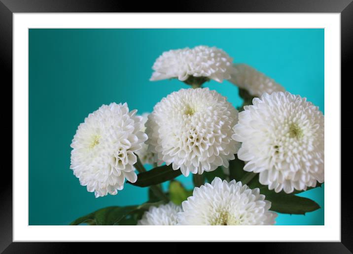 White flowers Framed Mounted Print by Clare Willis
