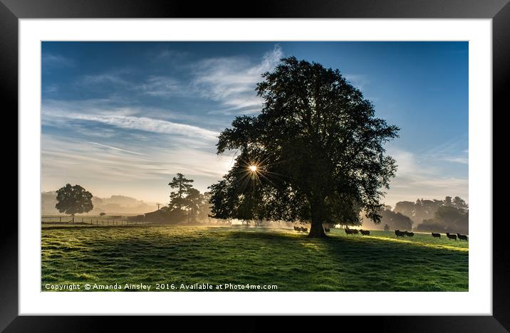 Misty Morning in Teesdale Framed Mounted Print by AMANDA AINSLEY