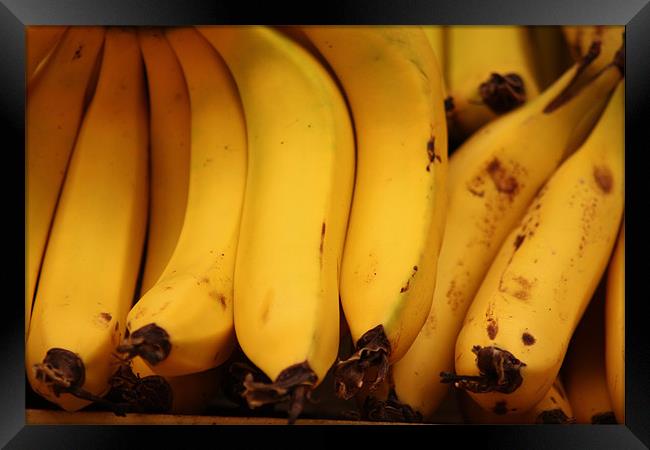 Bananas in a Market Framed Print by Adam Levy