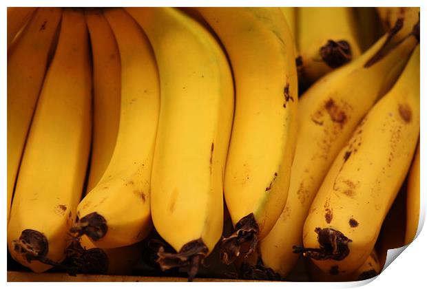 Bananas in a Market Print by Adam Levy
