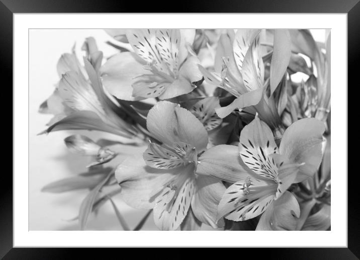 bunch of flowers Framed Mounted Print by Clare Willis