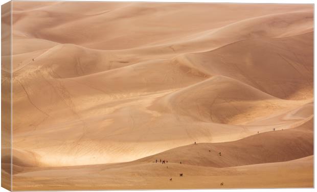 People on Great Sand Dunes NP  Canvas Print by Steve Heap