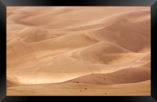 People on Great Sand Dunes NP  Framed Print by Steve Heap