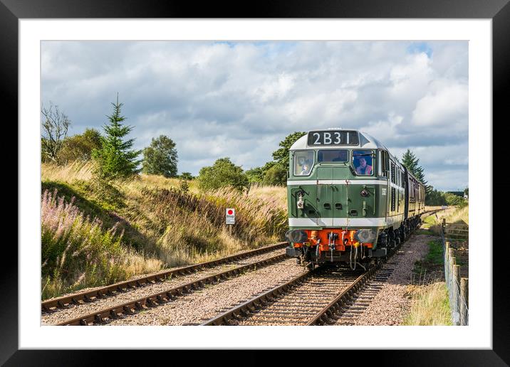 Class 31 Diesel 4 Framed Mounted Print by Steve Purnell
