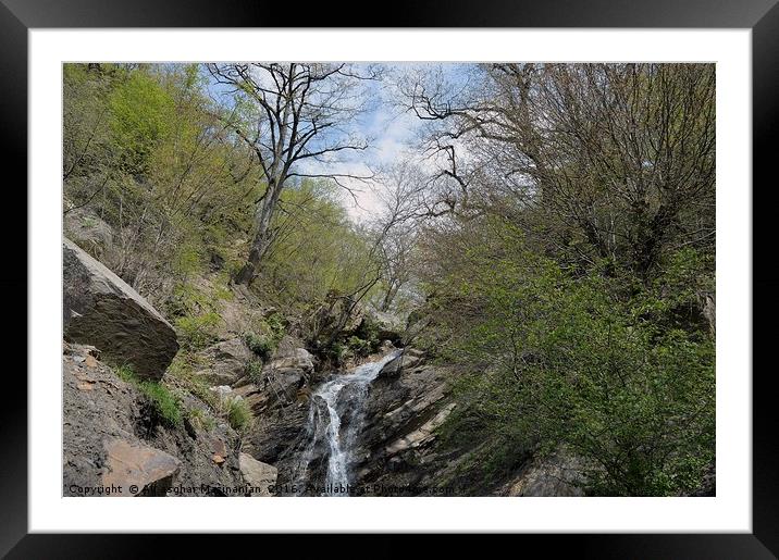 A stream covered by trees, Framed Mounted Print by Ali asghar Mazinanian