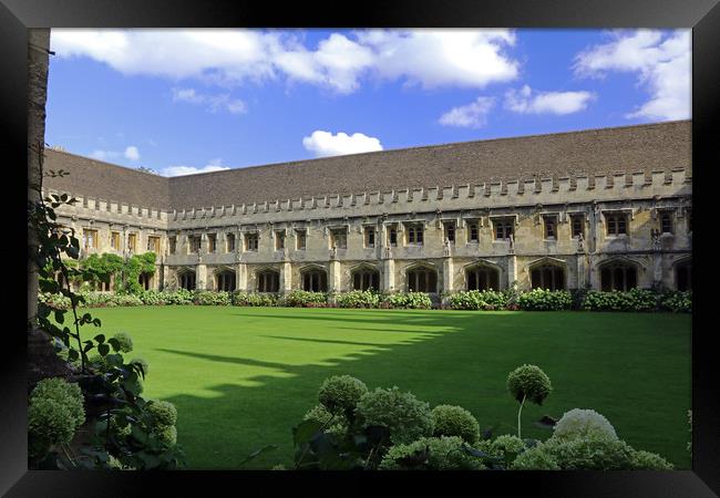 Magdalen College Cloisters Framed Print by Tony Murtagh
