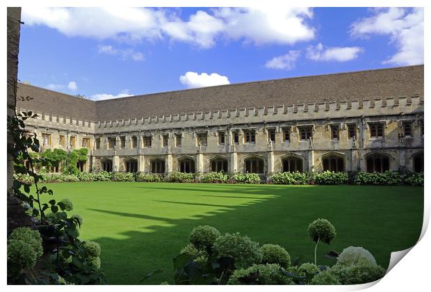 Magdalen College Cloisters Print by Tony Murtagh