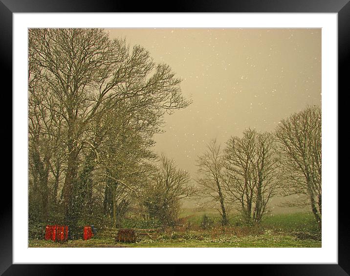 Lydstep Snow-Tenby-Pembrokeshire. Framed Mounted Print by paulette hurley