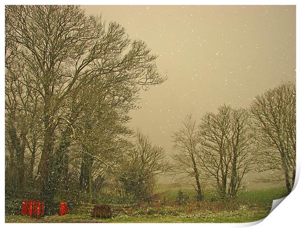 Lydstep Snow-Tenby-Pembrokeshire. Print by paulette hurley