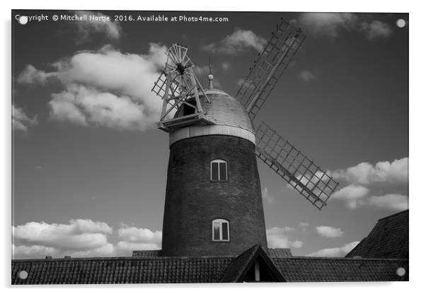 Windmill at Caldecott Lake Acrylic by Mitchell Nortje