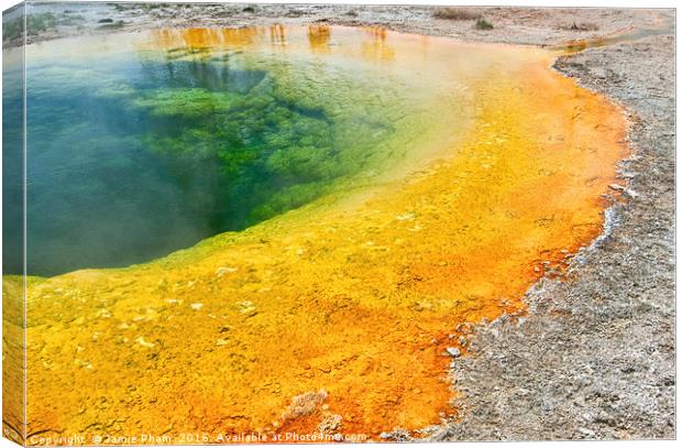 Morning Glory Pool Closeup in Yellowstone National Canvas Print by Jamie Pham