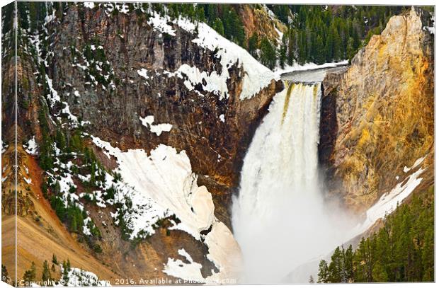 Closer view of Yellowstone Falls from Lookout Poin Canvas Print by Jamie Pham