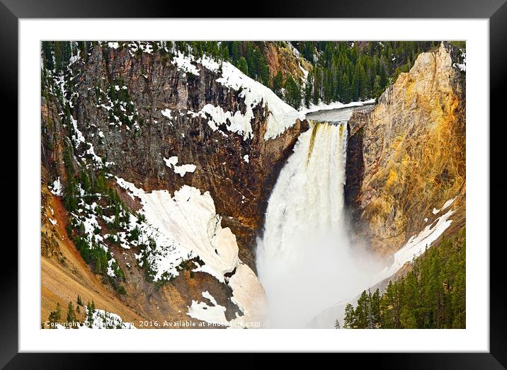Closer view of Yellowstone Falls from Lookout Poin Framed Mounted Print by Jamie Pham