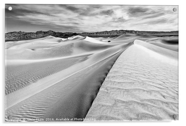 Panoramic view of endless sand dunes in Death Vall Acrylic by Jamie Pham