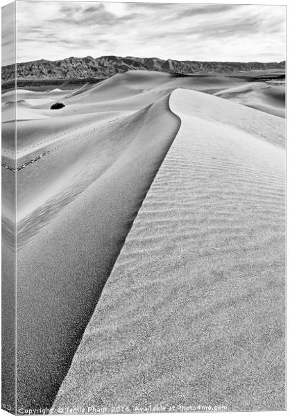 Sand Dune ridge in Death Valley National Park Canvas Print by Jamie Pham