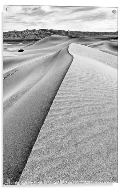 Sand Dune ridge in Death Valley National Park Acrylic by Jamie Pham