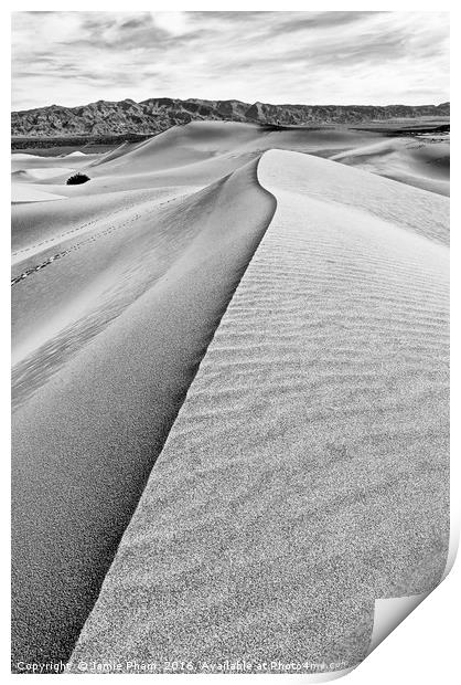 Sand Dune ridge in Death Valley National Park Print by Jamie Pham