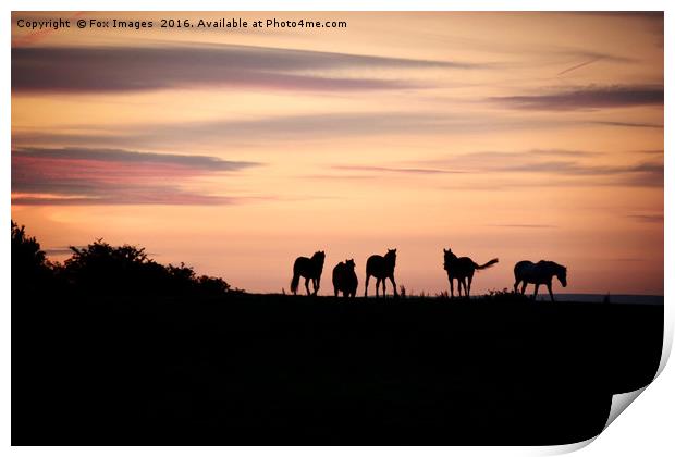 Sunrise in Birtle Print by Derrick Fox Lomax