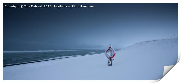 Icelandic winter beach scene Print by Tom Dolezal