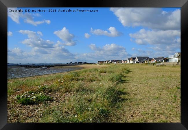 Point Clear Essex  Framed Print by Diana Mower