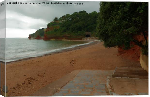 A DAWLISH COVE Canvas Print by andrew saxton