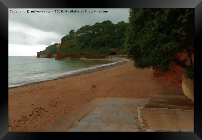 A DAWLISH COVE Framed Print by andrew saxton