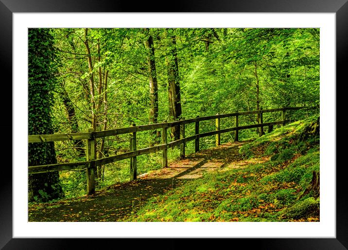 Footpath Near Clappersgate, Lake District Spring Framed Mounted Print by Nick Jenkins