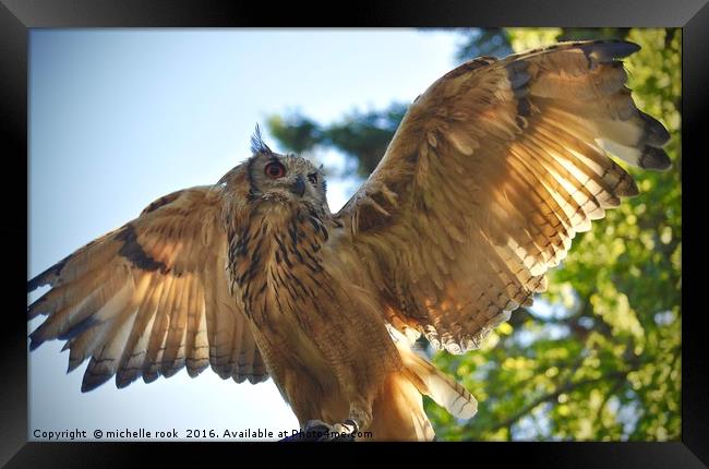 Ready for take off! Framed Print by michelle rook