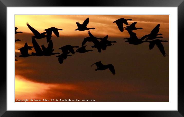 ''Sunset Fly Past'' Framed Mounted Print by James Allen