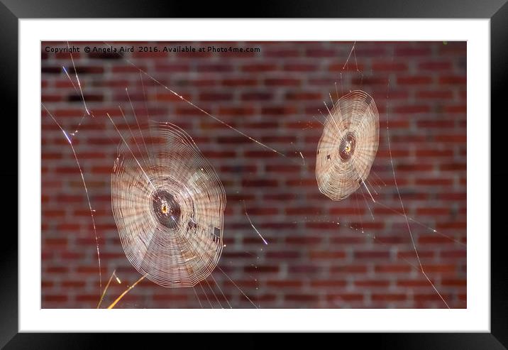 Spinners. Framed Mounted Print by Angela Aird