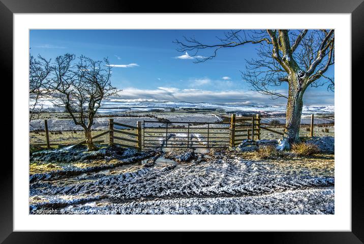 A Winters morning Framed Mounted Print by AMANDA AINSLEY