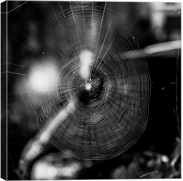  Black and white spider web. Canvas Print by Angela Aird