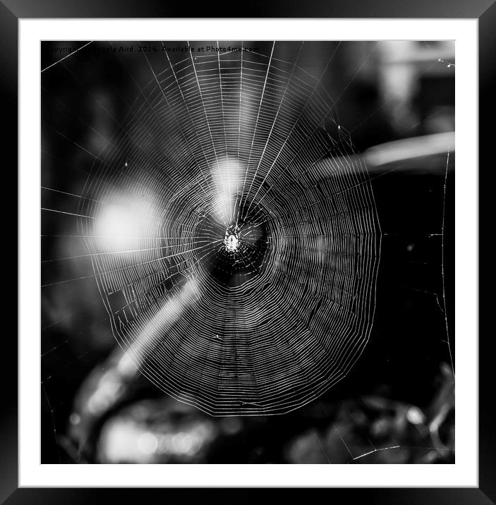  Black and white spider web. Framed Mounted Print by Angela Aird