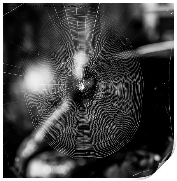  Black and white spider web. Print by Angela Aird